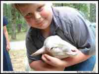 Click to view Fullsize Image